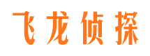 莎车调查公司